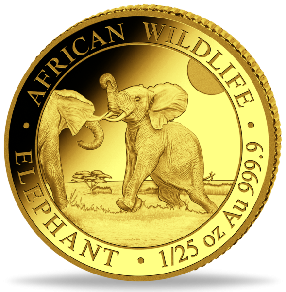 50 Shillings 2024, African Wildlife Elefant, 1/25 oz Au - Münze Vorderseite