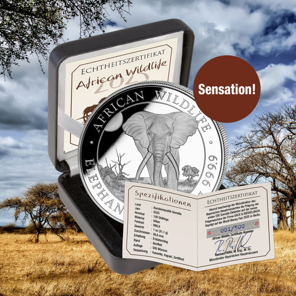 WMF-Elefant-2025