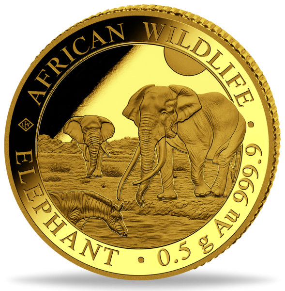 20 Schilling Elefant African Wildlife 0,5 g Gold PP 2026 - Münze Vorderseite