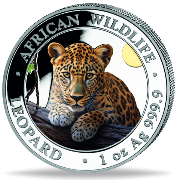 Somalia, 100 Shilling 2024 Leopard, mit Farbapplikation - Münze Vorderseite