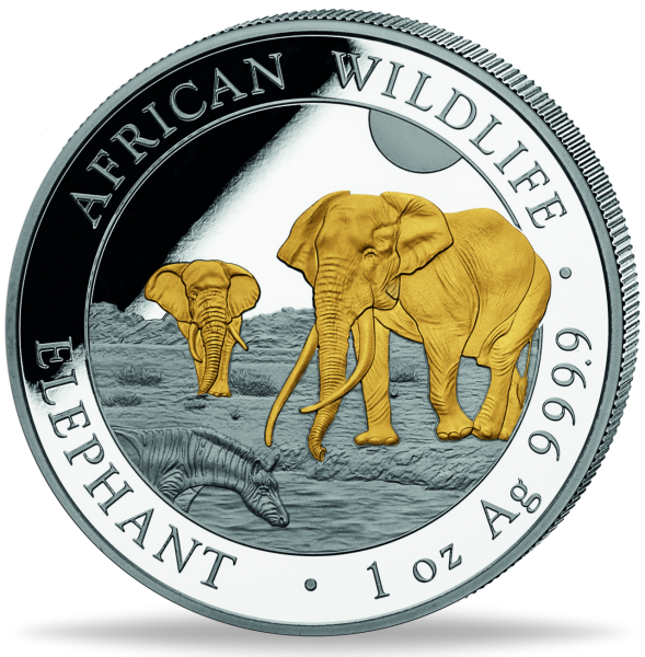 100 Shilling Elefant 2026, African Wildlife, Goldveredelung - Münze Vorderseite