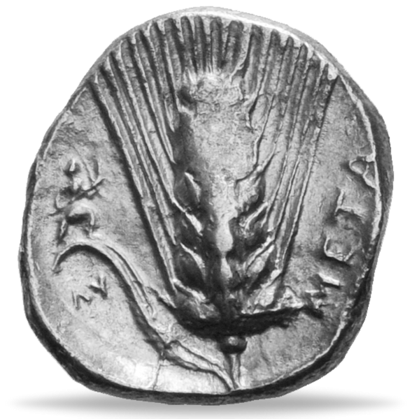 Stater Kornähren - Münze Rückseite