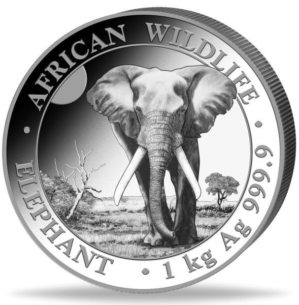 2000 Shilling 2025 Elefant, African Wildlife, 1 Kilogramm Ag - Münze Vorderseite