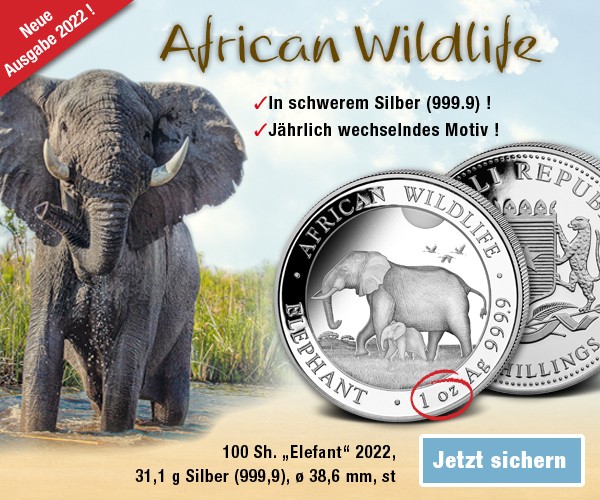 Online_Banner_African-Wildlife_600x500px