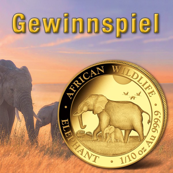 Online_Banner_Gewinnspiel_Wildlife_Elefant_600x600pxHdI7RKNoqBbSa