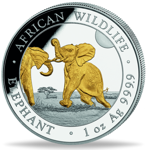 100 Sh Elefant Goldapplikation - Münze Vorderseite