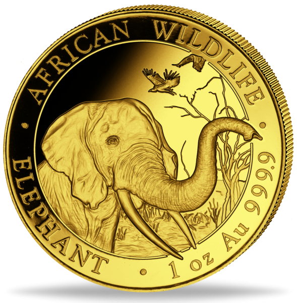 1 Unze Elefant Gold - Vorderseite Münze