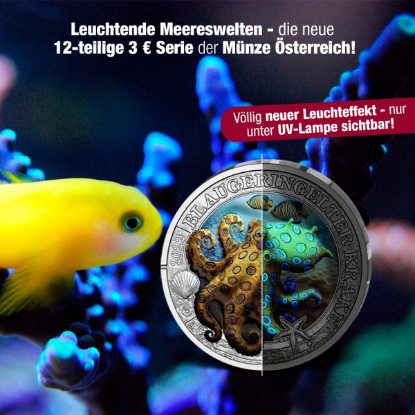 Banner-Leuchtende-Meereswelten-1080x1080ZWawes7KF4MmS