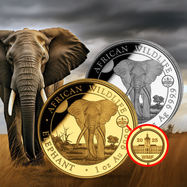 Banner-Elefant-WMF_2025_1080x1080