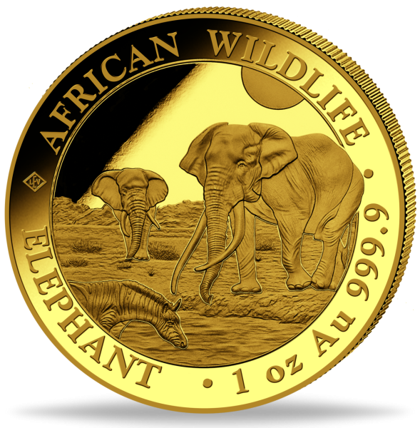 1.000 Shilling Elefant African Wildlife Somalia 1 Unze Gold 2026 - Vorderseite