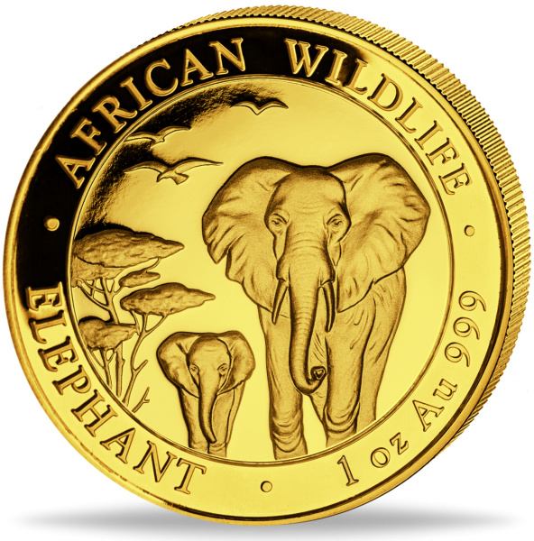 Somalia 1000 Shilling „Elefant - 2015“ 1 Unze Gold - Münze Vorderseite