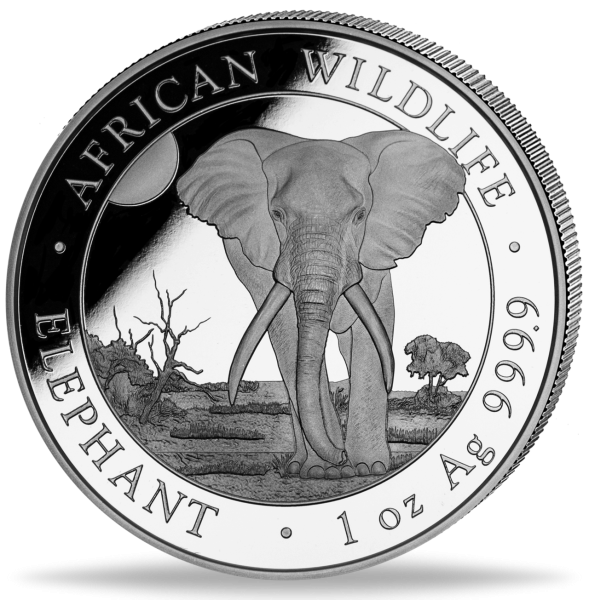 Somalia 100 Shilling Elefant African Wildlife 1 Unze Silber - Münze Vorderseite