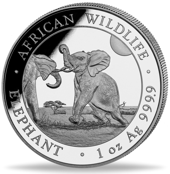 100 Sh Elefant 1 oz Ag - Münze Vorderseite