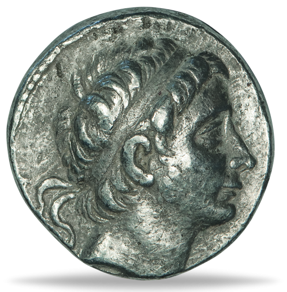 Tetradrachme Seleukos II. - Münze Vorderseite