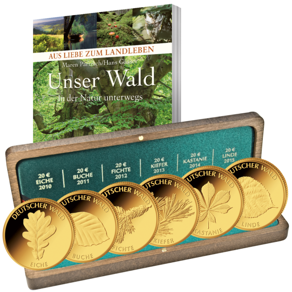 Deutschland, 6x 20 Euro Deutscher Wald, 2010 bis 2015, st, 1/8 oz reinstes Gold,
