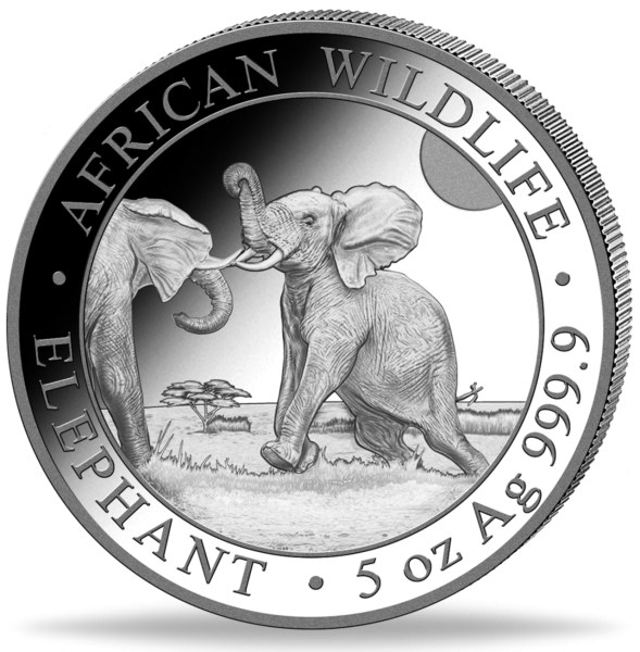 Somalia 500 Shilling Elefant 5 Unzen Silber 2024 - Münze Vorderseite