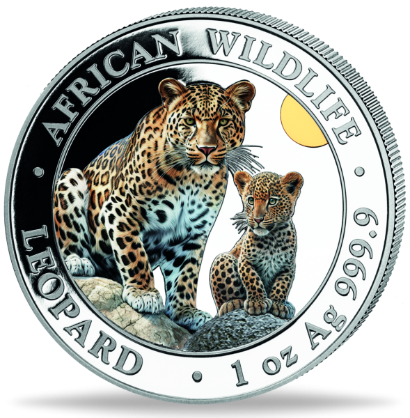 100 Shilling Leopard mit Farbapplikation 2024 - Münze Vorderseite