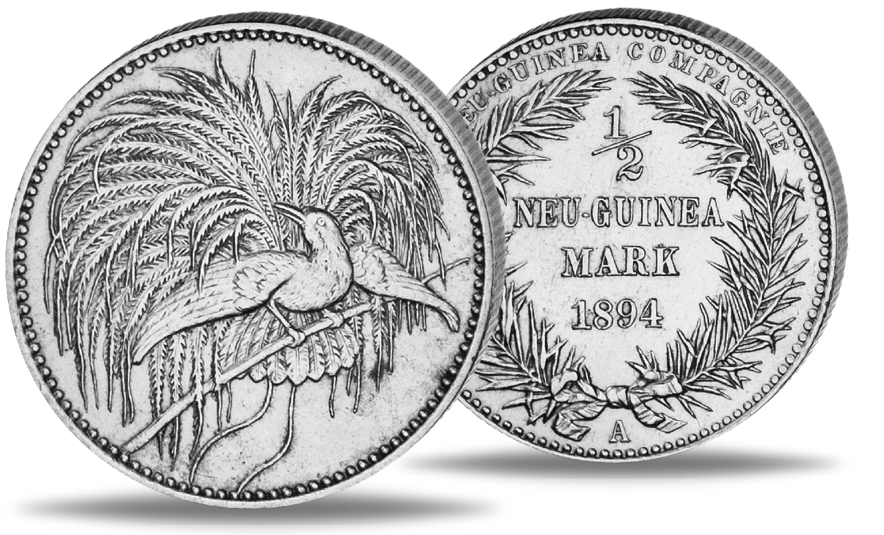 1-2-mark-deutsch-neuguinea-paradiesvogel-jaeger-704-m-nzen