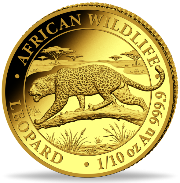 07160652 ^ 2026 ^ - ^ 20 ^ - ^_1_10oz_Leopard_VS