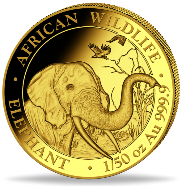 1/50 oz Au 20 Shilling Elefant - Münze Vorderseite