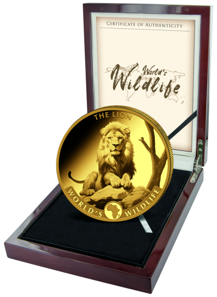 Kongo 100 Francs Löwe World´s Wildlife 3 Unzen Gold 2025 - Münze in Etui
