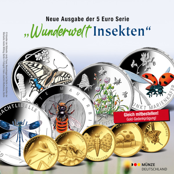 Banner-Wunderwelt-Insekten-1080x1080-Gedenkpraeg_ohne_Sammels