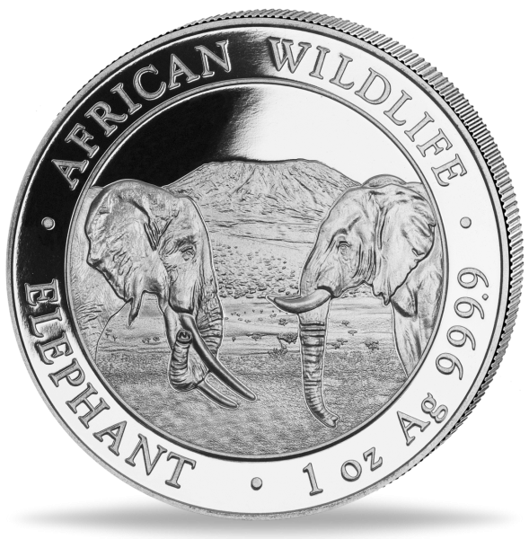 100 Shilling Somalia Elefant - 2020 - Münze Vorderseite
