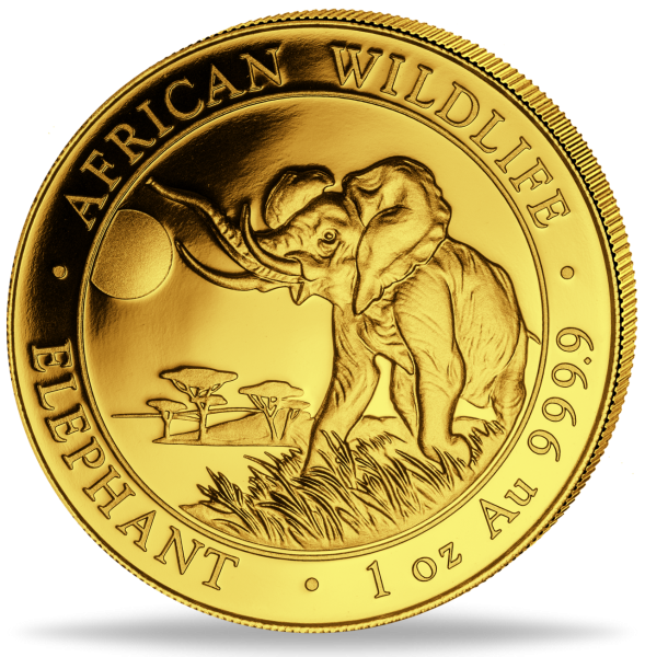 Somalia 1000 Shilling „Elefant - 2016“ 1 Unze Gold - Münze Vorderseite