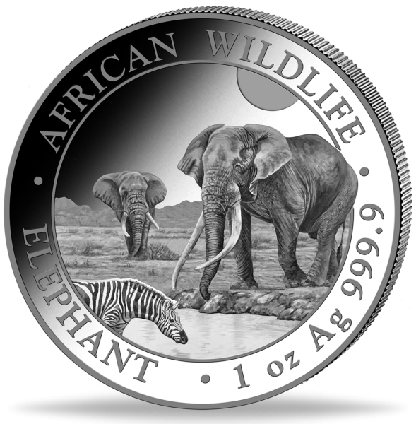 100 Shilling Elefant African Wildlife 1 oz Silber 2026 - Münze Vorderseite