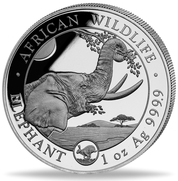 Elephant Lunar Privy Hase - Vorderseite Münze