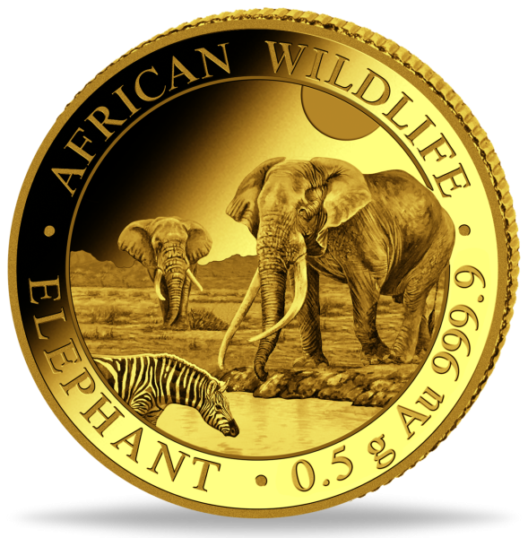 20 Schilling Elefant African Wildlife 0,5g Gold Polierte Platte 2026 -Vorderseit