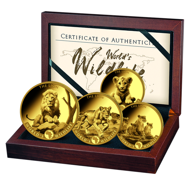 Kongo 195 Francs Komplettsatz "Löwe" World´s Wildlife 2025 - Satzbild
