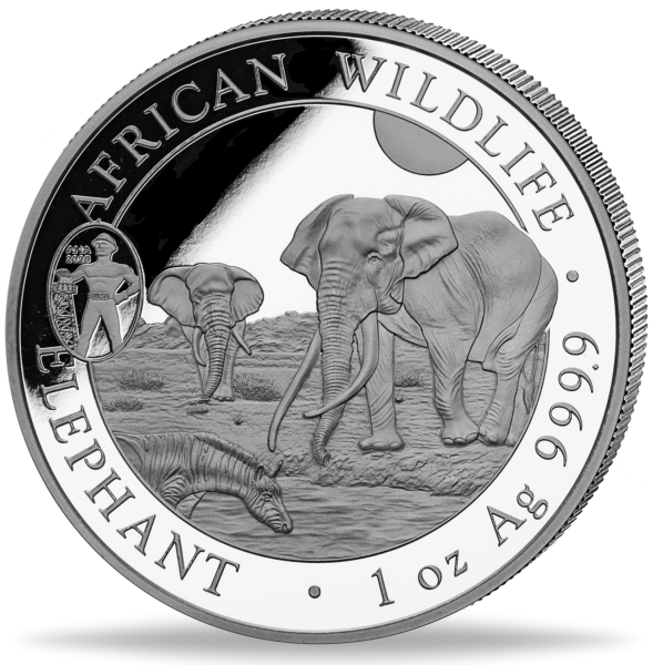 Somalia 100 Shilling Elefant African Wildlife - 2025 Privy Mark ANA Vorderseite