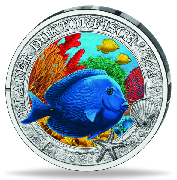 3 Euro Blauer Doktorfisch 2024 Serie Leuchtende Meereswelten - Münze Vorderseite