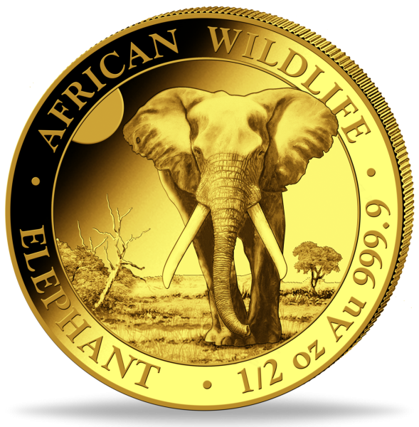 Somalia, 500 Shillings Elefant 2025, 1/2 Unze Gold - Münze Vorderseite