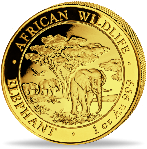 Somalia, 1000 Schilling „Elefant“ 1 Unze Gold - Münze Vorderseite