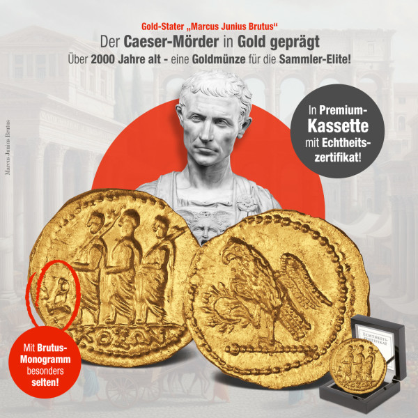 Banner-Brutus-Stater-1080x1080-ohne-CTA