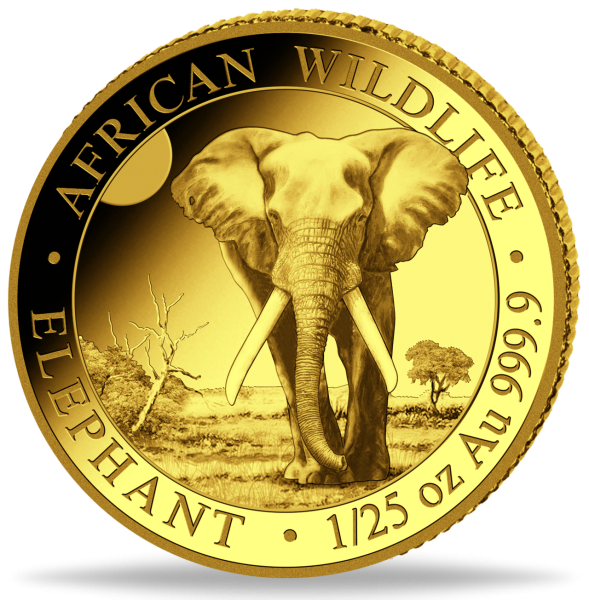 1/25 oz African Wildlife Elephant 2025 - Münze Vorderseite