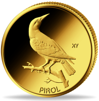 00110202017 20_20E_Pirol_VS
