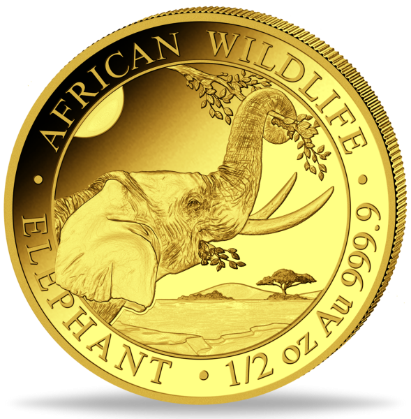 500 Shilling Elefant African Wildlife 1/2 Unze Gold 2023 - Münze Vorderseite