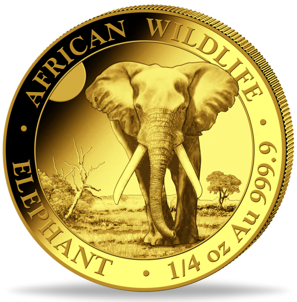 Somalia, 200 Shillings Elefant 2025, 1/4 Unze Gold - Münze Vorderseite
