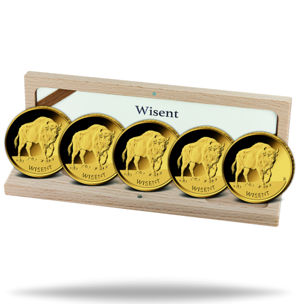 5x 20 Euro Wisent, 2026, Prägestätte A-J - Kassette