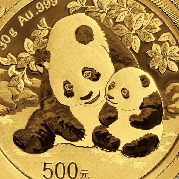 Banner_China_Panda_2024_1080x1080