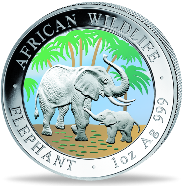 Somalia, 100 Shilling Elefant 2007, African Wildlife, Münze Vorderseite