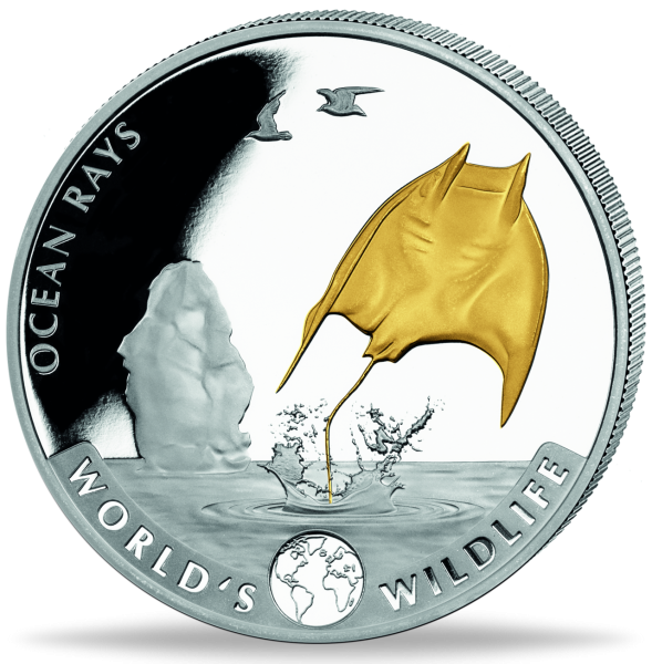 Kongo, 20 Francs 2023, Rochen - Silber mit Goldveredelung - Münze Vorderseite