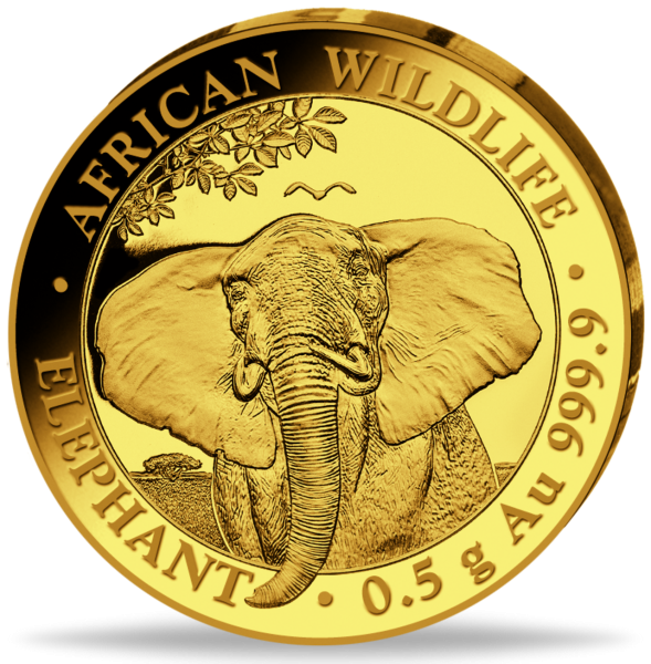 Somalia, 20 Shilling Elefant,Gold Polierte Platte - Münze Vorderseite