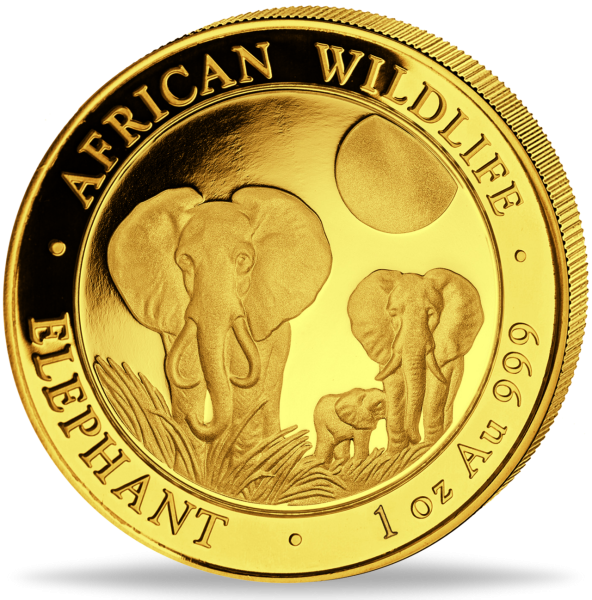 Somalia 1000 Shilling „Elefant - 2014“ 1 Unze Gold - Münze Vorderseite