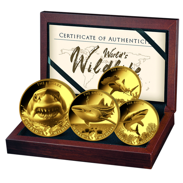 017910084 ^ 2026 ^ - ^ 10 ^ - ^_4Mz_Worlds_Wildlife_Shark_Satz_KAS