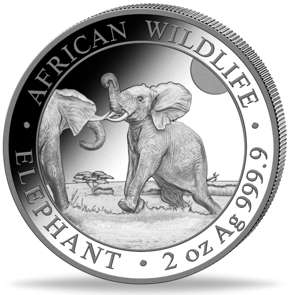 200 Shilling Elefant African Wildlife 2 Unzen Silber 2024 - Münze Vorderseite