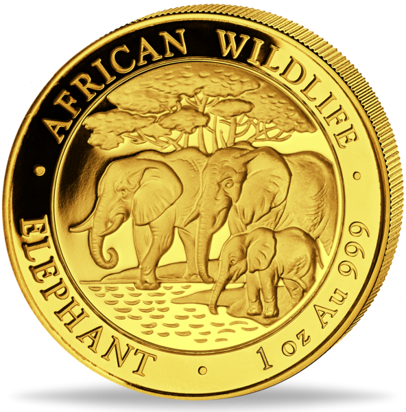 Somalia 1000 Shilling „Elefant 2013“ 1 Unze Gold - Münze Vorderseite